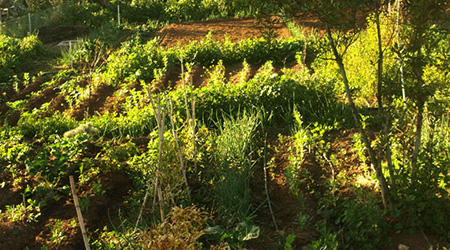 Eight Learning Areas, One Shared Goal: Skills for More Resilient Farms