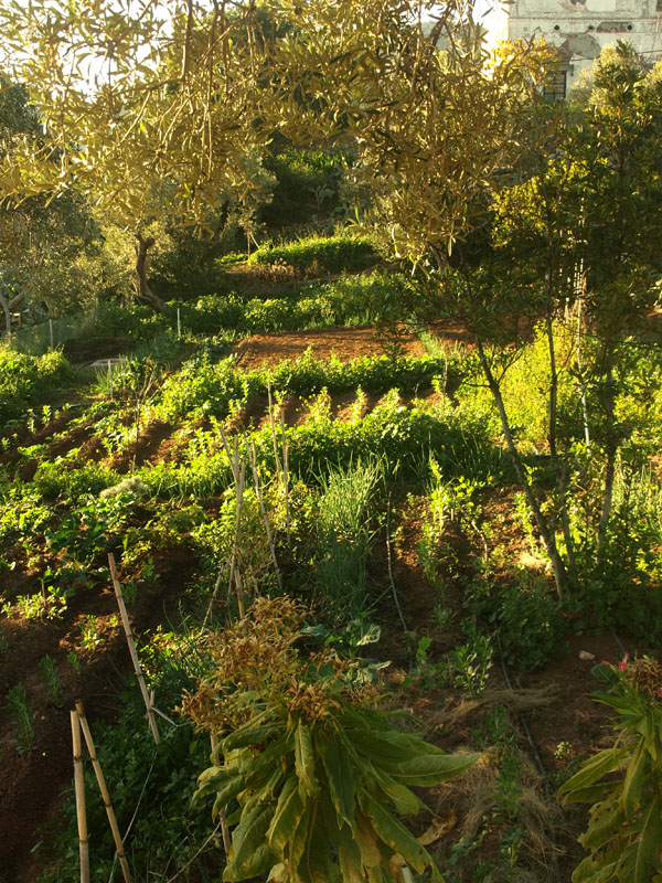 Eight Learning Areas, One Shared Goal: Skills for More Resilient Farms